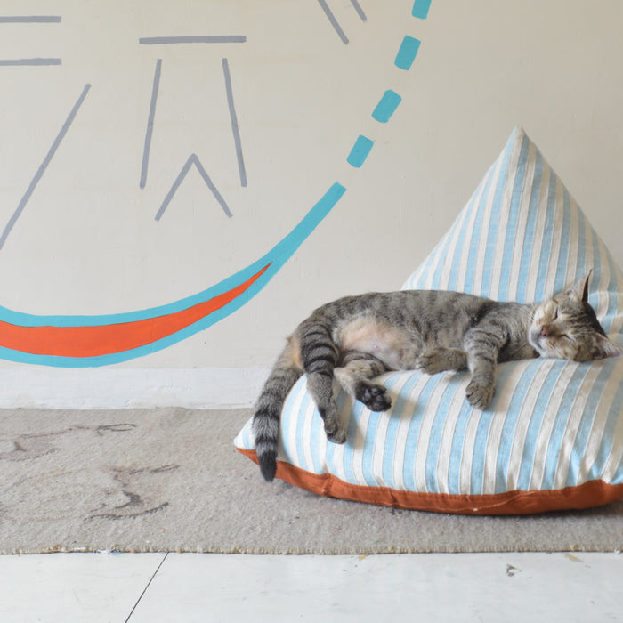 The Rise of The Mini Bean